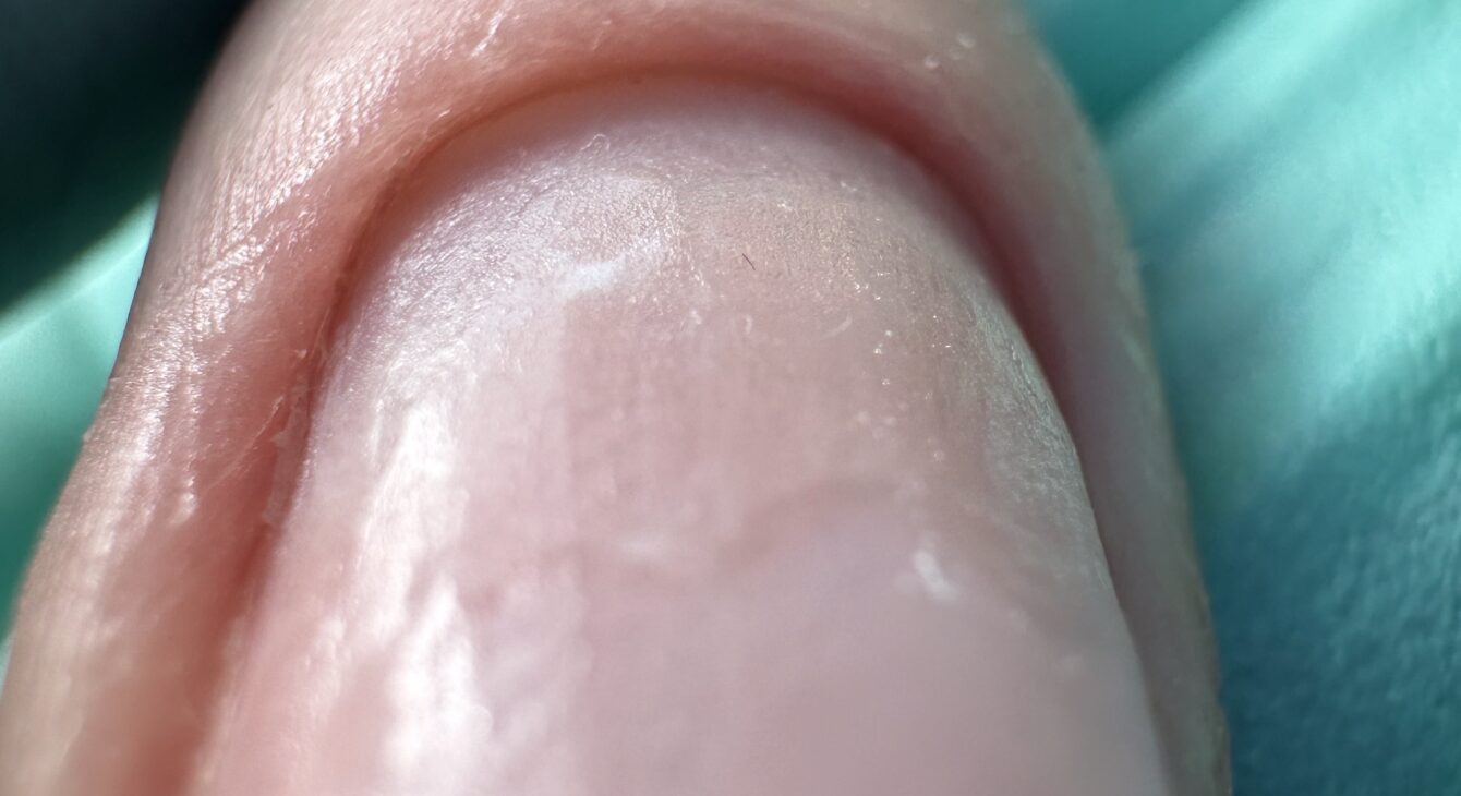 estetic 2