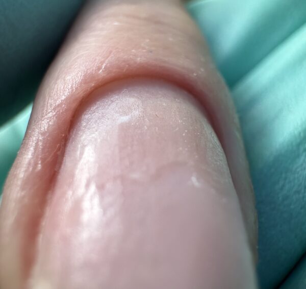 estetic 2